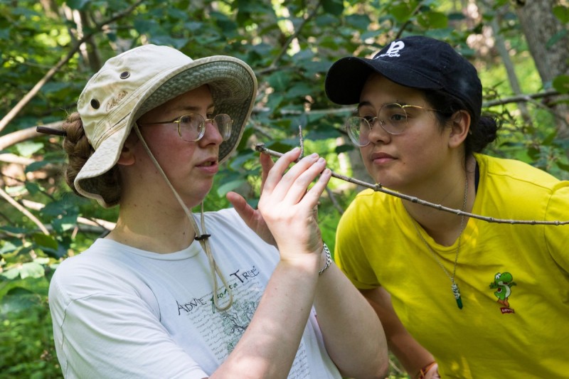 Research Assistant Professor of Ecological Genetics Christina Baer discusses insect shelters with student Sofia I. Jordan during a Summer Research Immersion Program fieldwork session at the Binghamton University Nature Preserve on July 20, 2022.