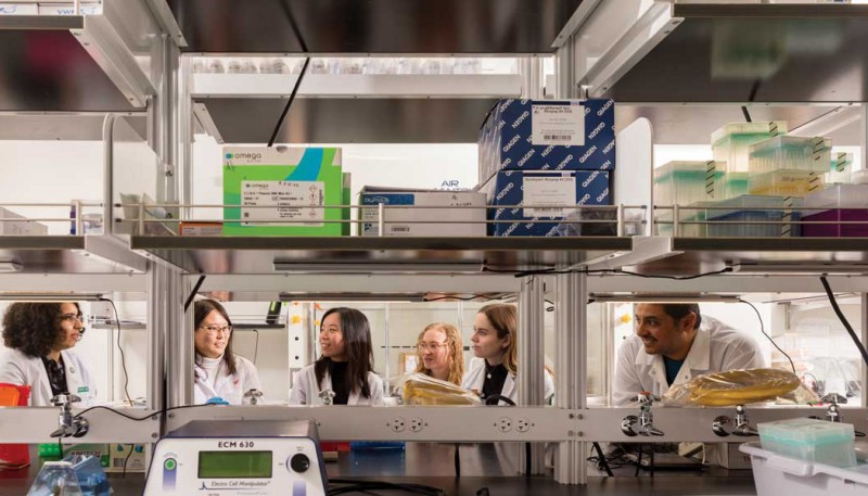 Mohammad Ali, assistant professor of pharmaceutical sciences, right, with members of one of his capstone research project teams: left to right, Majda Bouregba, Shirley Xu, Michelle Yeung, Deanna Maybee and Keira Farrell.