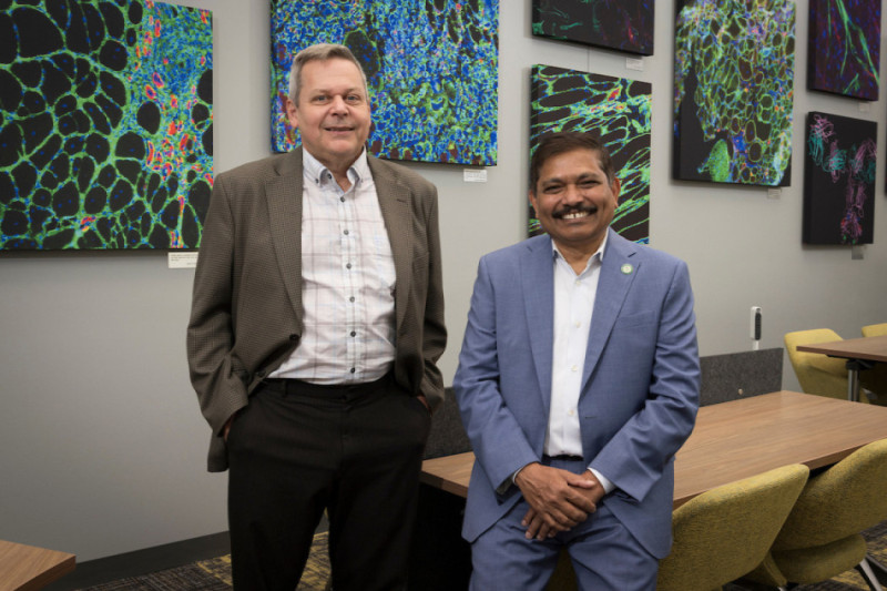 Eric P. Hoffman, associate dean for research and research development and professor of pharmaceutical sciences, and Kanneboyina (Raju) Nagaraju, dean and professor of pharmaceutical sciences at the School of Pharmacy and Pharmaceutical Sciences, developed Agamree (vamorolone), approved for use in treating Duchenne muscular dystrophy (DMD)