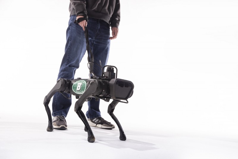 Associate Professor of Computer Science Shiqi Zhang and his students have programmed a robot guide dog to assist the visually impaired. The robot responds to tugs on its leash.