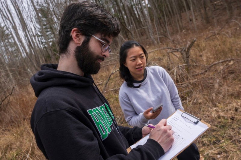 Jared Sackett and Jamila Wang take measurements during an experiment in Nuthatch Hollow.