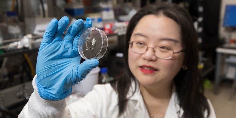 New Watson College seed grants encourage interdisciplinary research