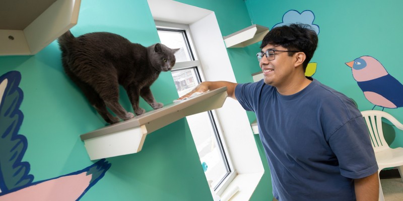 Bryan Perez ’25 volunteered his time to care for cats at the Broome County Humane Society in Binghamton.