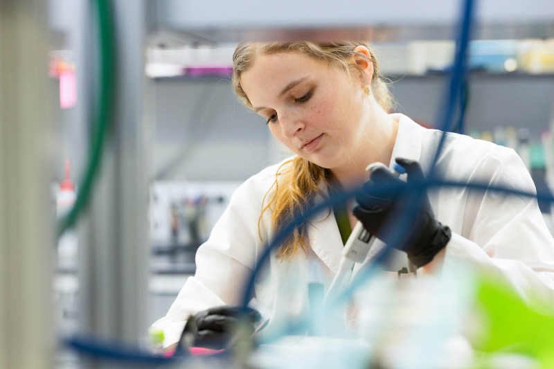 Katherine Peters '25 did biomedical research as part of her undergraduate studies at Binghamton University. She said that Watson Scholars advisors provide support, but they also recognize the importance of peer-to-peer mentorship.