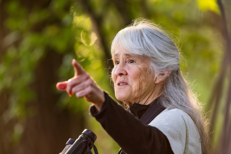 Associate Professor Emerita of Biological Sciences Anne Clark in the Binghamton University Nature Preserve.