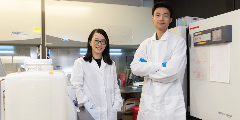 Assistant Professors Ying Wang (Department of Biomedical Engineering) and Yingge Zhou (School of Systems Science and Industrial Engineering) collaborated on research about engineered tissues.