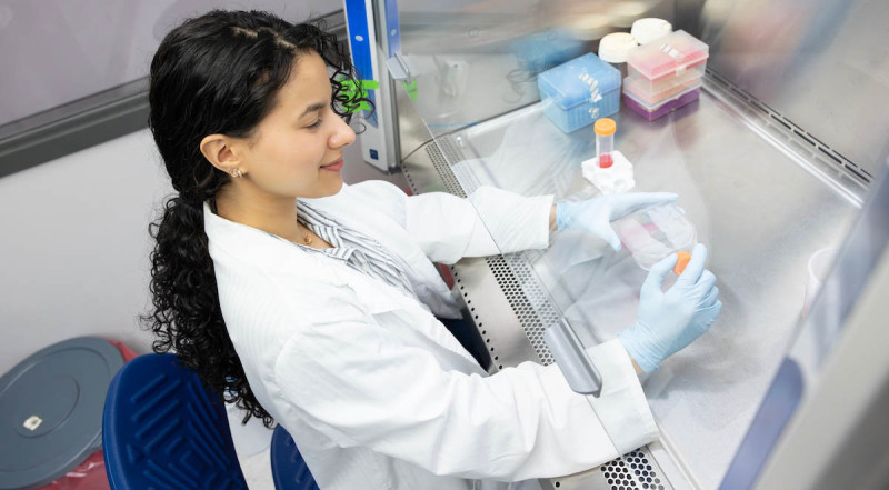 During her time at Watson College, Manar Mabrouk ’26 worked in Professor and BME Chair Gretchen Mahler’s lab studying the heart’s aortic valve, which regulates blood flow.