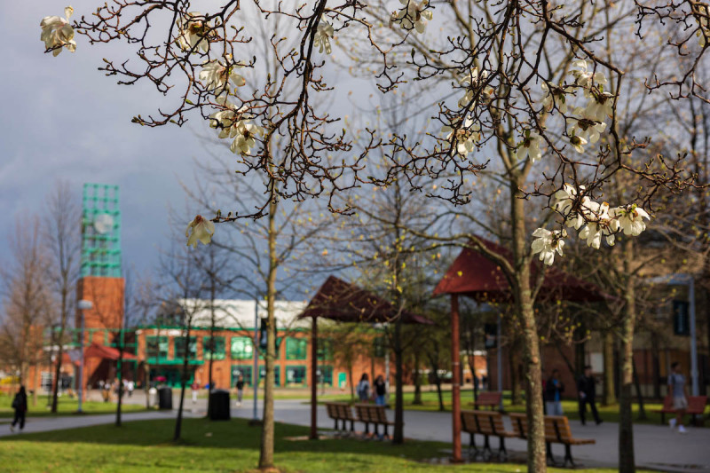 Chancellor’s and President’s awards honor 14 Binghamton University students