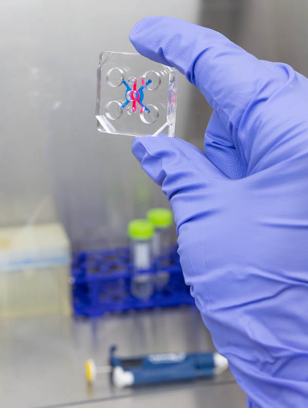 Organ-on-a-chip technology helps Assistant Professor Jungwook