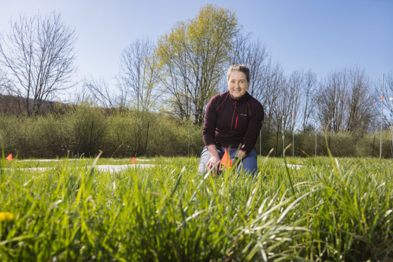 Assistant Professor of Ecosystem Science Amber (Amy) Churchill in the Pasture and Lawn Enhanced Diversity Global-change Experiment (PLEDGE), located in Nuthatch Hollow.