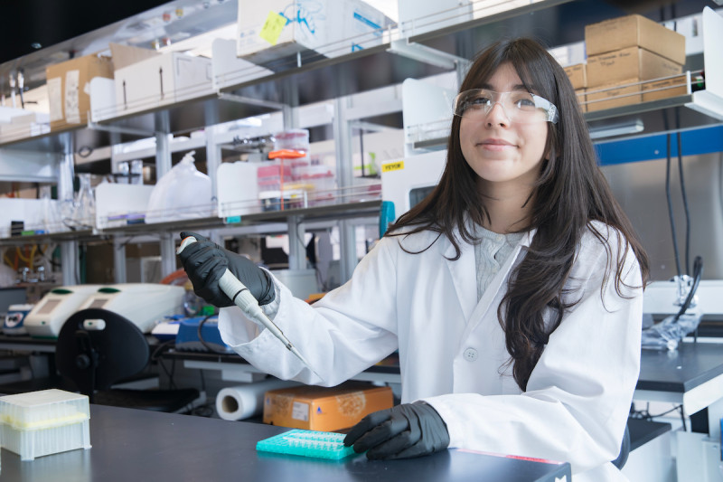 Denisse Martinez, a rising junior majoring in biology on the pre-med track, works with Assistant Professor of Pharmaceutical Sciences Azadeh Nasuhidehnavi to study cellular senescence, a stress response that stops the division of damaged cells, sometimes without triggering cell death.