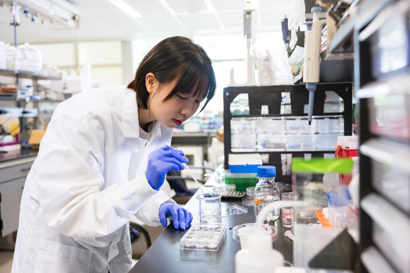 Zuer Wu '24, a PhD student in biomedical engineering at the Thomas J. Watson College of Engineering and Applied Science, works in a lab in the Biotechnology Building at the Innovative Technology Complex (ITC).