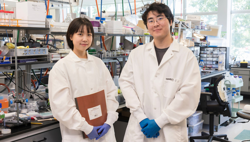 Zuer Wu '24, left, and Chen Lin '24, both PhD students in biomedical engineering at the Thomas J. Watson College of Engineering and Applied Science, have won prestigious research fellowships.