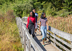Students walk on the footbridge through the Nature Preserve.