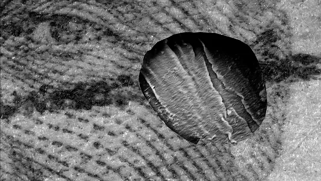 A still from Associate Professor Monteith McCollum's film 