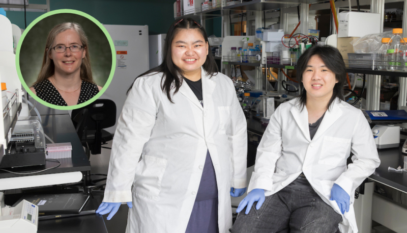 Assistant Professor of Pharmaceutical Sciences Katie Edwards, rising P2 students Lun Nuam and David Wang