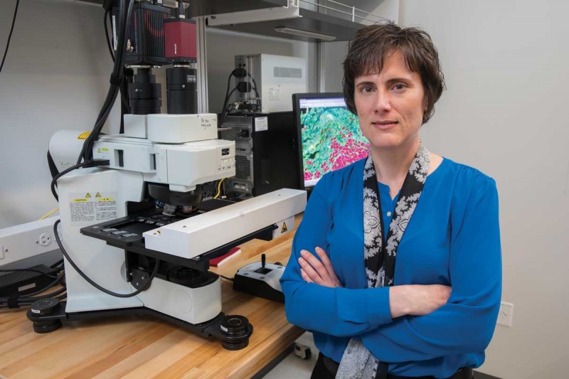 Aaron Beedle is associate professor of pharmaceutical sciences. Her research in regeneration and cellular signaling pathways in muscular dystrophy has led to preclinical studies in dystroglycan-related muscular dystrophy therapies, funded by the Muscular Dystrophy Association.