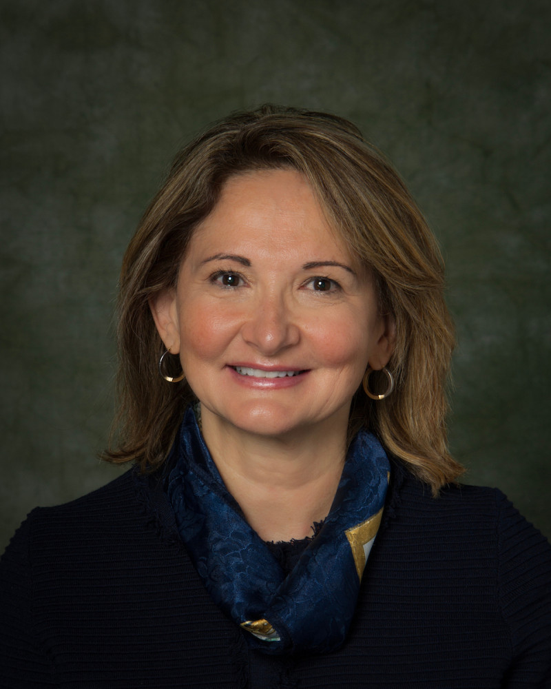 Binghamton University Associate Professor of Health and Wellness Studies Lina Begdache