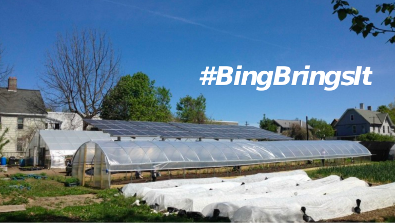 VINES received grant funds from the spring 2020 Philanthropy and Civil Society course that allowed it to finish a new hoop greenhouse.
