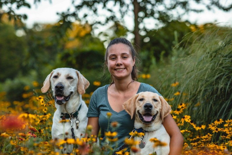Biological sciences major Yfke Havinga and the yellow Labs she raised: Stan and Lancelot.