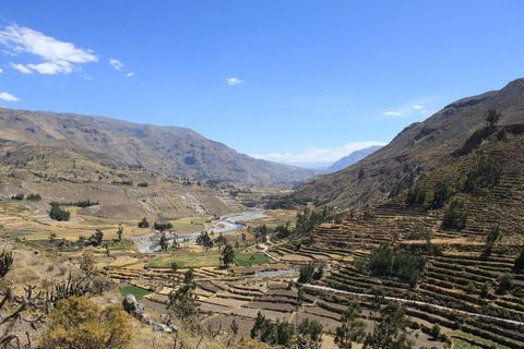 A view of agricultural terraces in Peru's Colca Valley