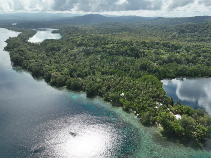 New Georgia Island, as seen from above