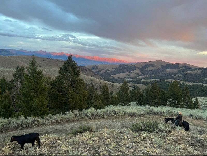 Home on the range: Environmental science major interns as a cowboy