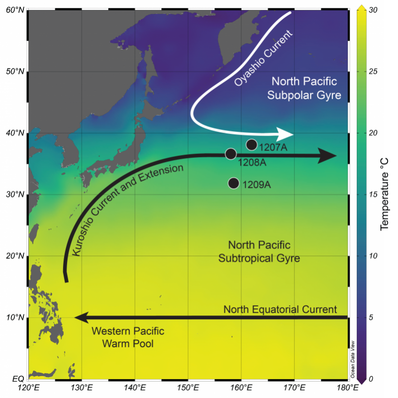 Modern-day sea surface temperature map of the northwest Pacific Ocean. The Kuroshio Current and Extension are represented by the black line and arrow, whereas the Oyashio Current is represented by the white line and arrow. The location of the three sediment cores (numbered 1207, 1208, and 1209) used in the study, drilled upon Shatsky Rise, are denoted by the circles.