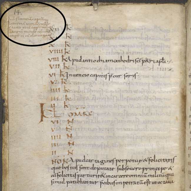 This manuscript features a curious recipe in the margins -- for lizard shampoo. The note reads 