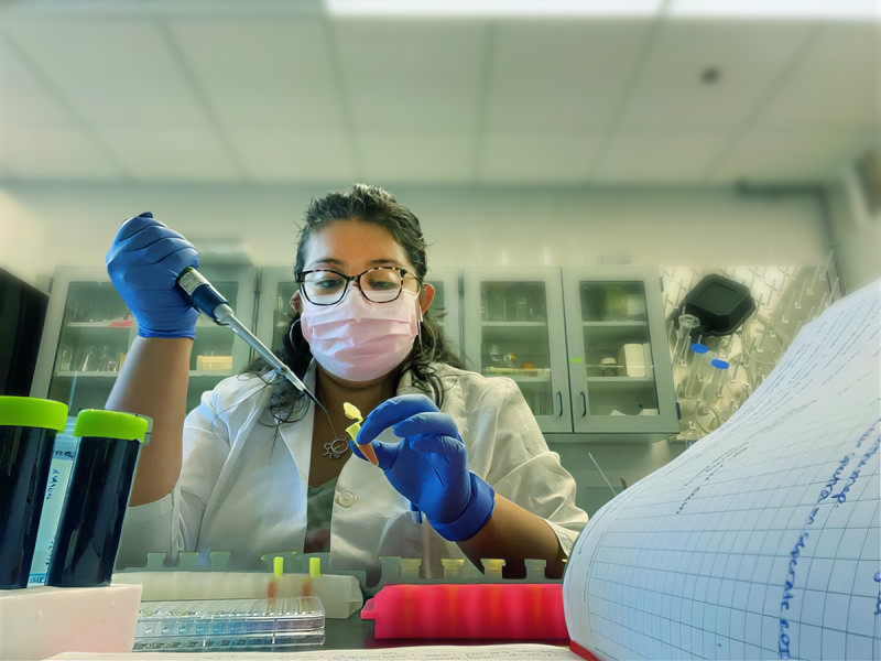Melissa Mendoza-Seale, PhD ’22, worked in Professor Gretchen Mahler’s lab during her time at Binghamton University.