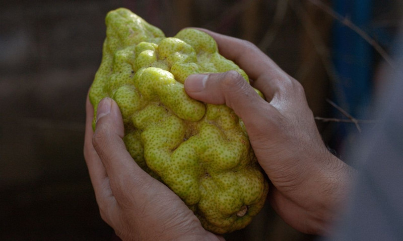 Shoppers are much more inclined to buy misshapen produce if they can be assured the quality is good.