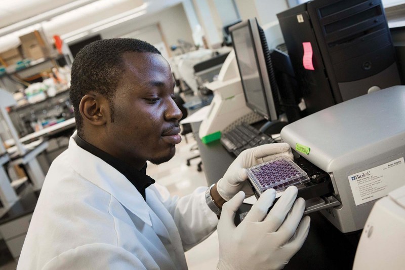 Graduate student Daniel Popoola does research with Assistant Professor Nicole Cameron, a member of the DEARC.