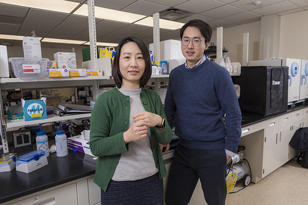 Two faculty members from the Watson College of Engineering and Applied Science – Ahyeon Koh, left, and Daehan Won, are part of the sweat-study team.