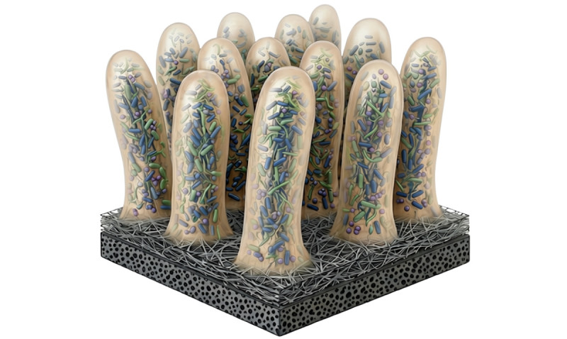 New biobatteries developed at Binghamton University are inspired by the finger-like protuberances called villi that line the digestive tract and help us to digest.