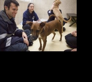 Stephen Baumgarten, recent MPA alumnus and first responder with Harpur's Ferry