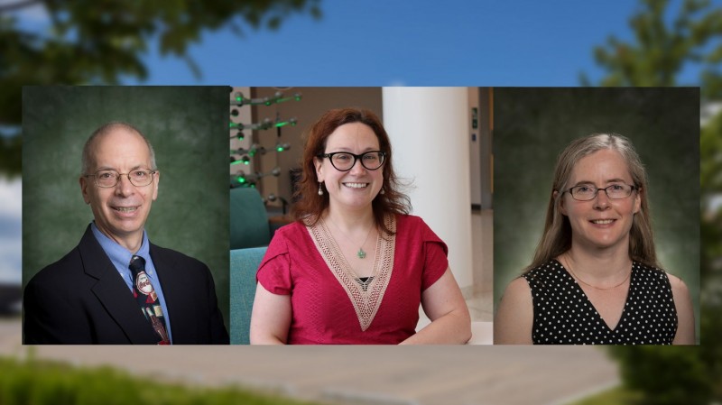 Leon Cosler, Amanda Padwa and Katie Edwards were all named career champions for impacting students’ personal and professional growth.