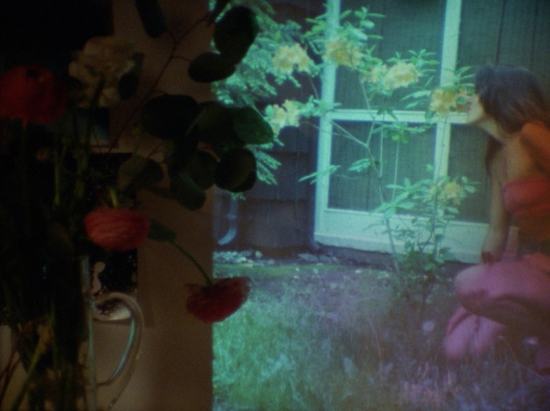 A still from Sofia Theodore-Pierce's film 