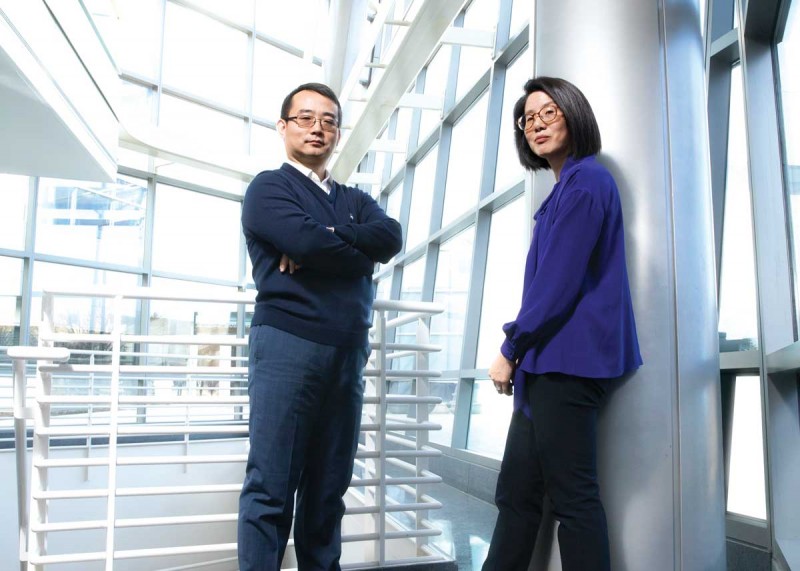 Associate Professor Xingye Qiao, left, and Professor Nancy Um