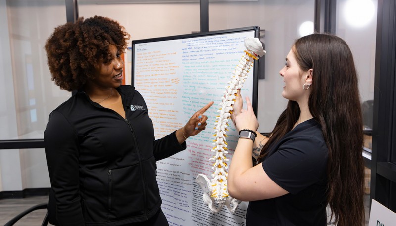 In 2027, the Division of Physical Therapy will relocate to the Binghamton University Clinical Center at Park, a former manufacturing building across the parking lot from Decker College's Health Sciences Building.