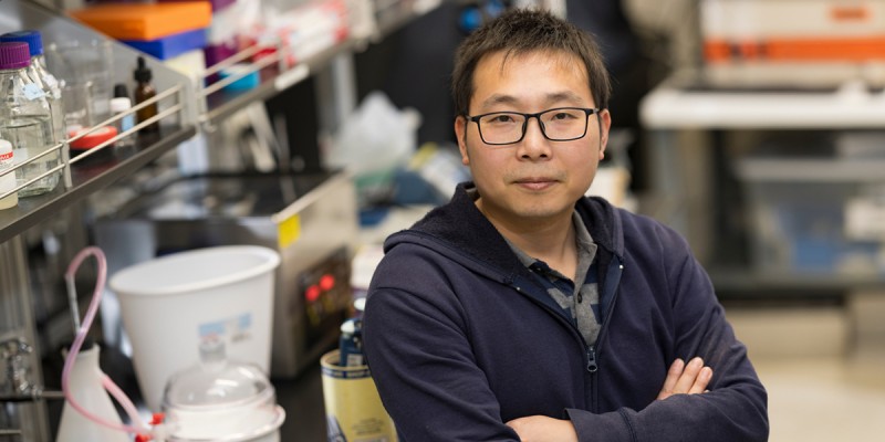 Binghamton University biomedical engineer Qianbin Wang aims to develop tools for early glaucoma detection as well as treatments with support from a new NSF CAREER grant.