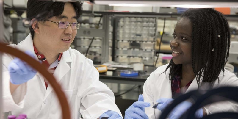 Bryanna Brown helps Associate Professor Seokheun 