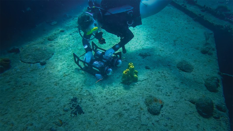 Assistant Professor Monika Roznere conducts experiments with underwater robots during trips to a research center in Barbados.