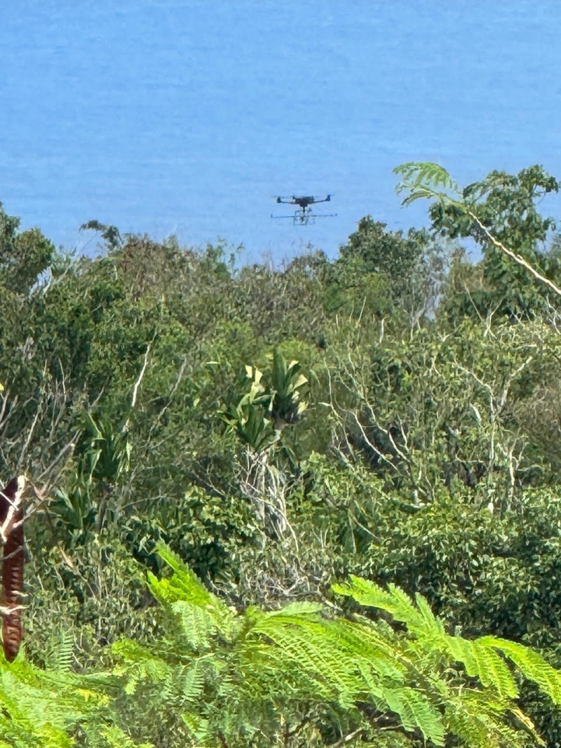 A research drone flies above Bundschu Ridge in Guam.