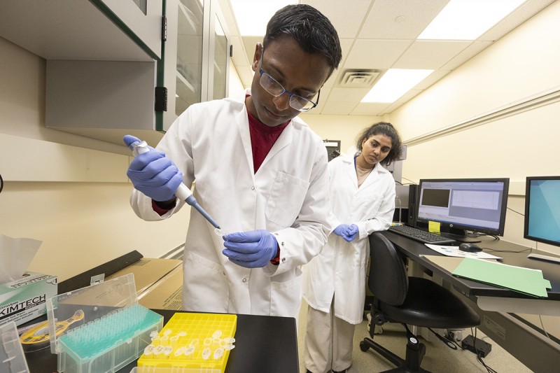 Researchers from Binghamton University and Upstate Medical University are studying the underlying cause of hydrocephalus, a disorder where excess cerebrospinal fluid in the ventricles of the brain compresses brain tissue. Preparing test samples are Watson biomedical engineering PhD student Shovit Arpit Gupta, left, and Upstate Medical student Adithi Randeni.