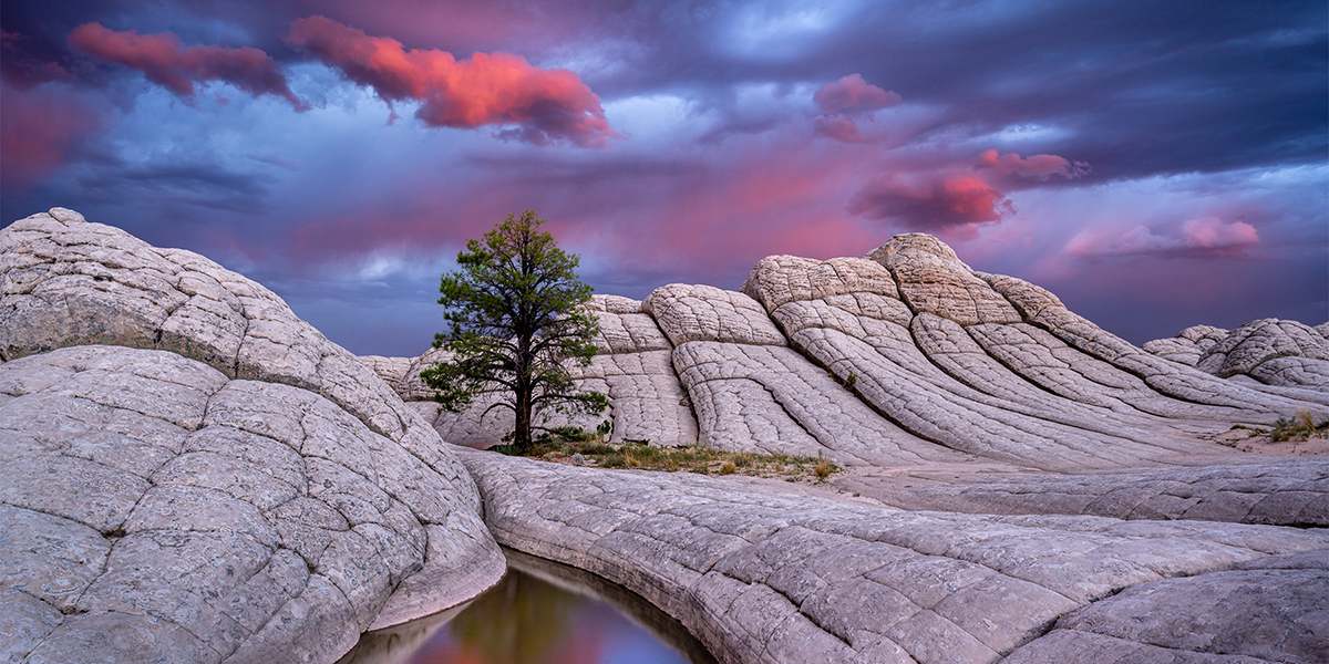 Best in Show and First Place in The World Around Us, went to Jessica Fridrich, distinguished professor of electrical and computer engineering, for this image titled “Celestial Cotton Candy.”
