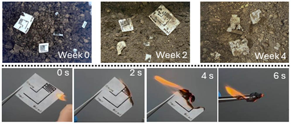 Paper-based electronics - or papertronics - can be composted or burned for disposal.