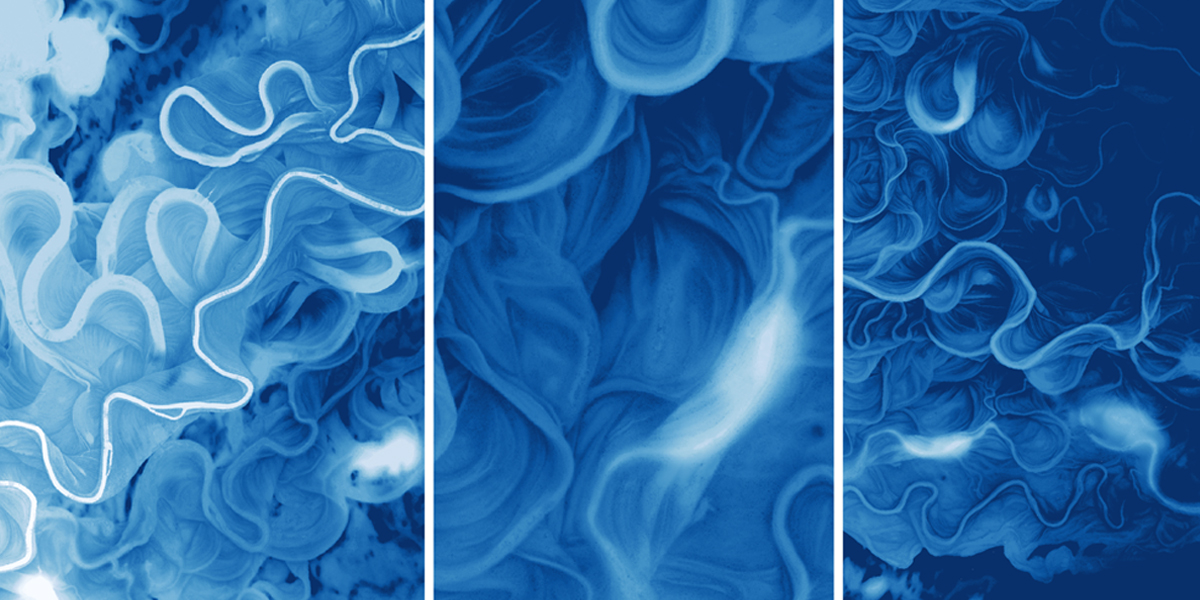 This image captures one of Alaska's many intricate, meandering rivers: the Yukon. Using remote sensing data, this image reveals hydrologic patterns and history of the Arctic wetland. By mapping elevations, researchers can monitor climate change and permafrost thaw.