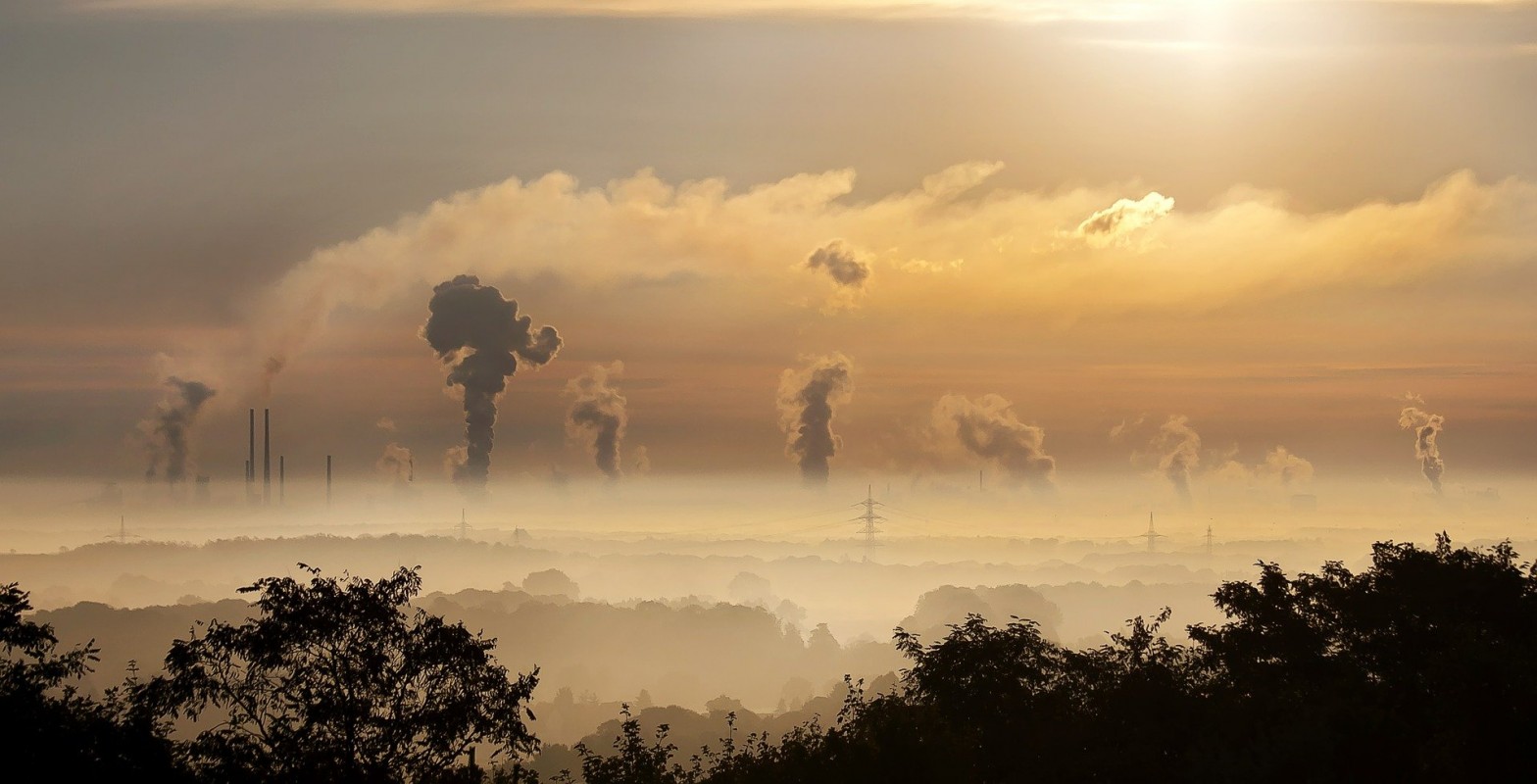 Smoke stacks seen in the distance of a forested landscape.