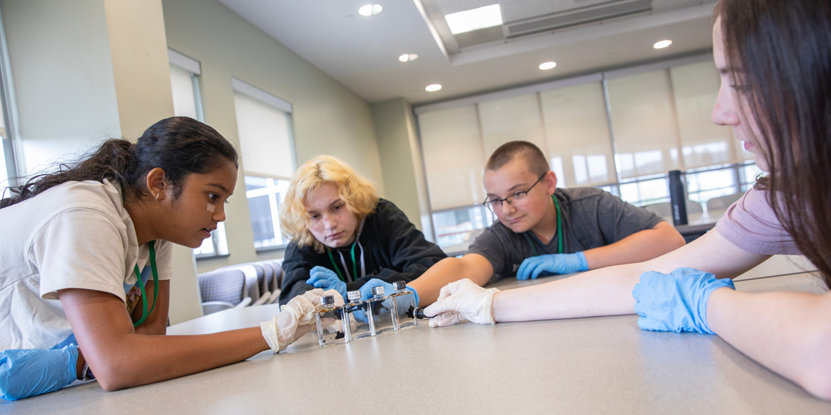 Prisha Patel, 12, left, and 14-year-olds Myka Batterson, Maxwell Riley, and Ella Blazey conduct an experiment in which they control ferrofluid, a unique liquid that reacts strongly to magnets. They were among more than 40 local middle and high school students who participated in a weeklong microelectronics camp held in July at Binghamton University.