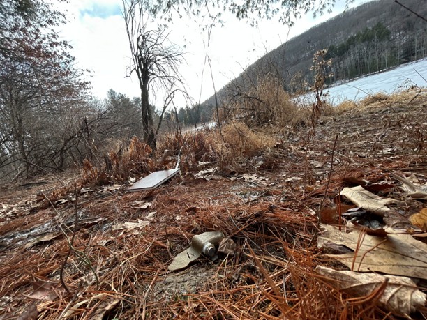 An inert PFM-1 landmine in the Binghamton University Nature Preserve.